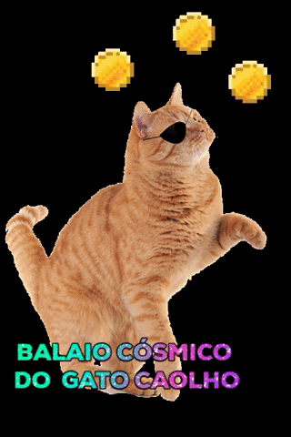 Bhfyp Shining GIF by Balaio Cósico do Gato Caolho