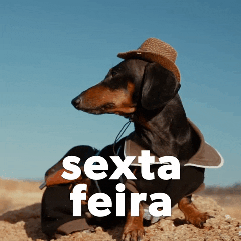 Sexta Feira Dog GIF by Sealed With A GIF