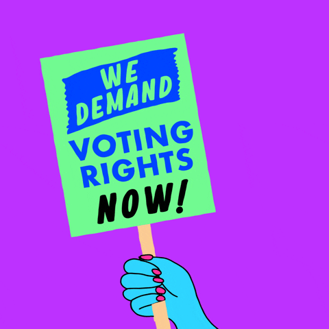 Right To Vote Voting Rights GIF by INTO ACTION