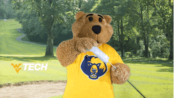 Golfing West Virginia GIF by WVU Tech Golden Bears