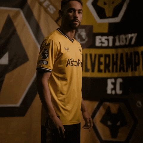 Get In Premier League GIF by Wolves