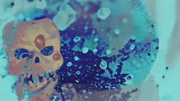 200.gif?cid=fc005b086e205f504062ca5587b7c7e1a43e7e4520c3eafe&rid=200.gif&ct=g