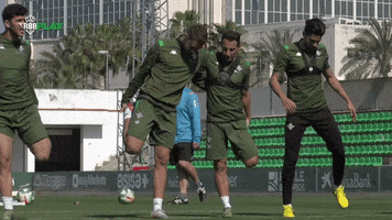 Real Betis Besties GIF by Real Betis Balompié