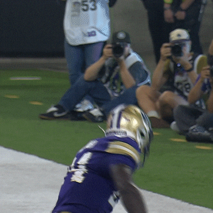 Bow Down University Of Washington GIF by Washington Athletics