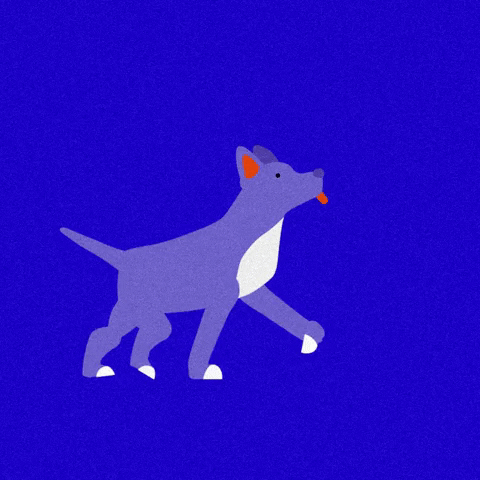 Hallvaror_ GIF