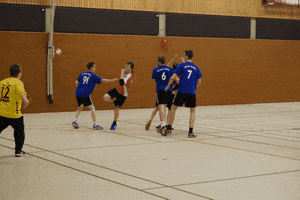 HSGLiGra GIF