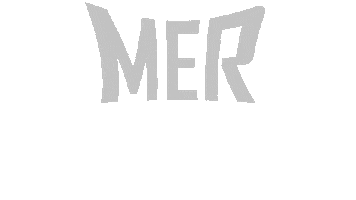 Puls Sportmotion Sticker