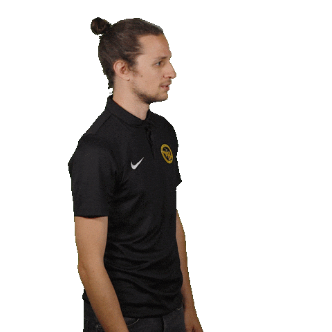 Bsc Young Boys Ok Sticker by Radio Gelb-Schwarz for iOS & Android | GIPHY