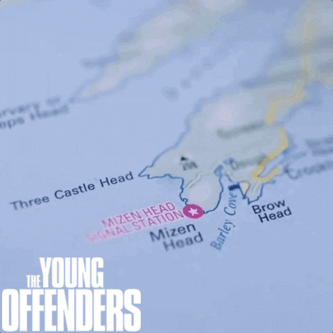 The Young Offenders Comedy GIF by Wildcard Distribution