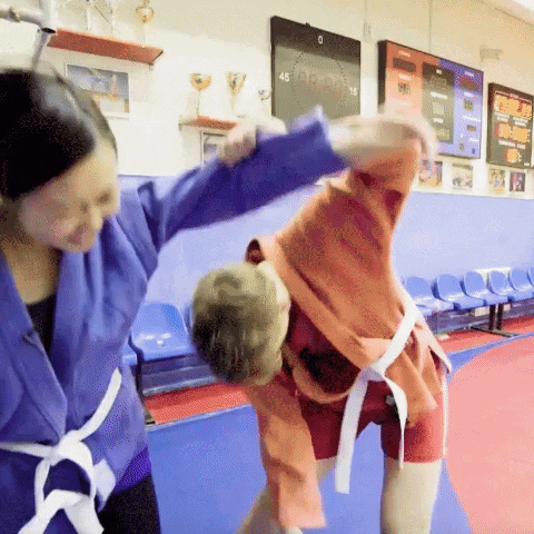 Martial Arts Fighting GIF by Ansheles