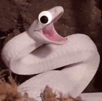 Scared Snake GIF