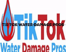 Water Damage Repair GIF
