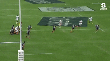 Sharks GIF