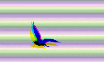Fairwinds GIF