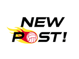 South Coast Blaze Sticker