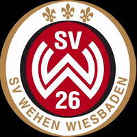 Sv Wehen Wiesbaden GIF by svww_official