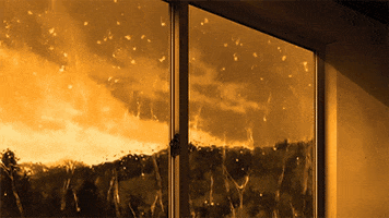 Miss GIF