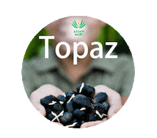 Asian Agri Sticker