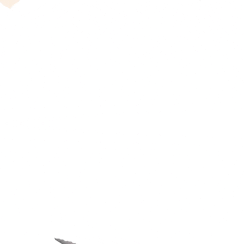 Tracsa GIF