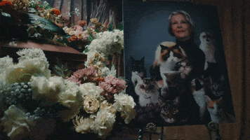 Music Video Cats GIF by Taylor Swift