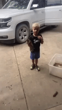 'Why Do You Have a Squirrel?' Boy Arrives Home With Unexpected Find