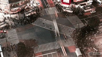 tokyo crossing GIF