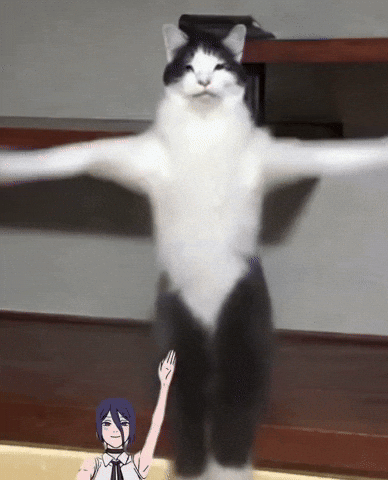 Funny Cat GIF