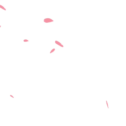 Pink Flowers GIF by Blooming Box