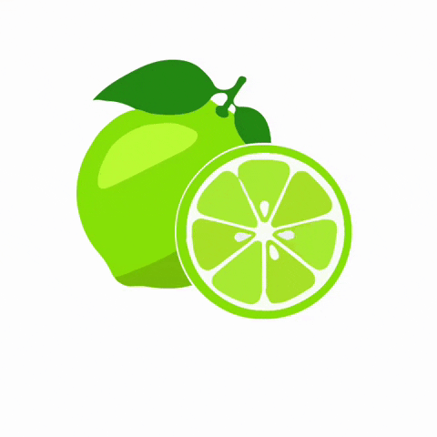 Fraeulein Scholz Likör GIF