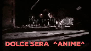 pussy #principe triste GIF