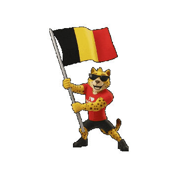Belgium Sticker by Padbol official