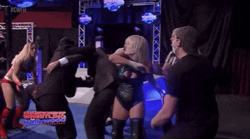 Pro Wrestling Punch GIF by United Wrestling Network