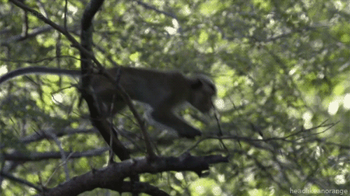 source.gif