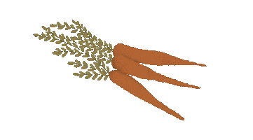 Garden Vegetables Sticker