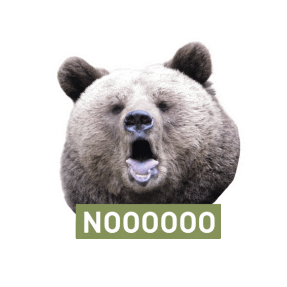 Bear Shock Sticker by FOUR PAWS