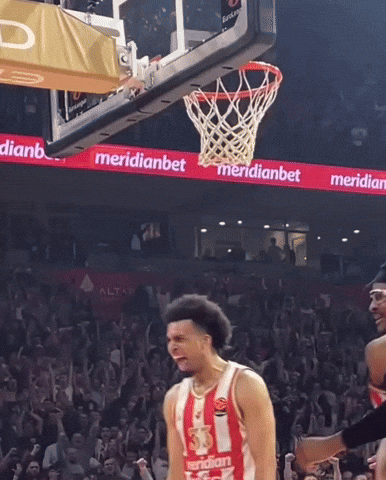 Crvena Zvezda Kkcz GIF