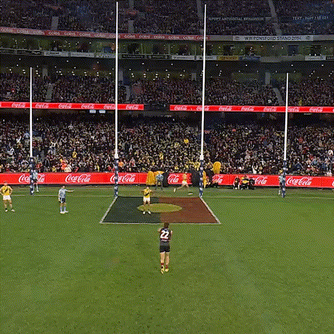 GIF by Essendon FC