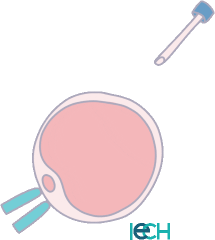 Clinica Biopsia Sticker by IECH