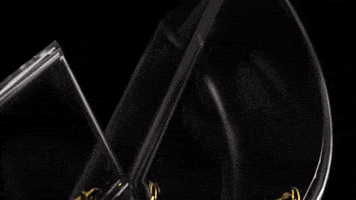 Vita Vforvictory GIF by Team Vitality