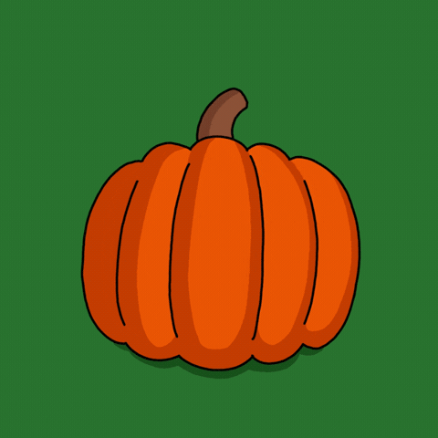 Cat Halloween GIF by Shenja
