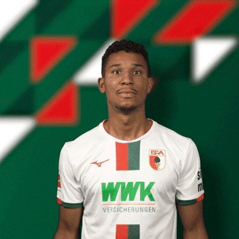 German What GIF by FC Augsburg 1907