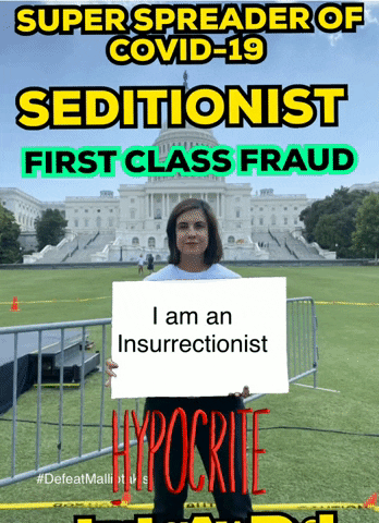 Seditionist GIF