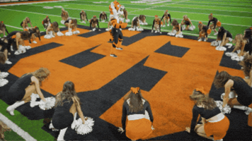 Cheer Roar GIF by Idaho State University
