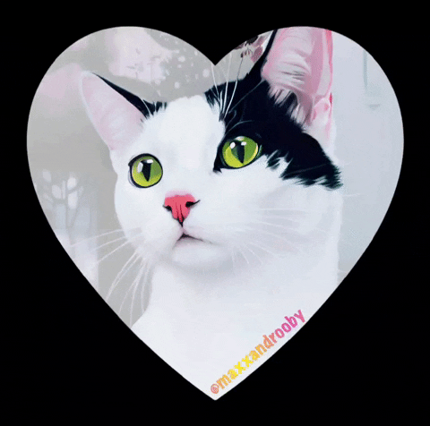 MaxxandRooby cat heart cat heart cat drawing GIF