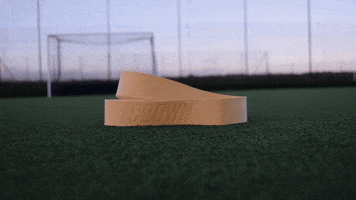 CrownHockey GIF