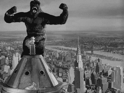 king kong guy GIF - king kong guy GIF