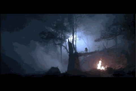 cinemagraph