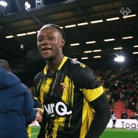 Excited Lets Go GIF by Watford Football Club