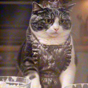 Baking Tuxedo Cat GIF