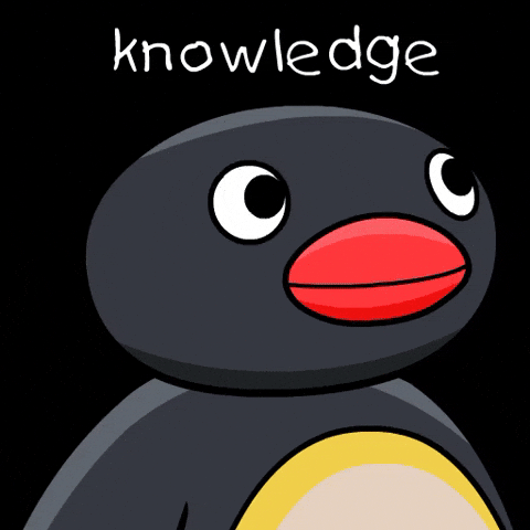 NOOT GIF